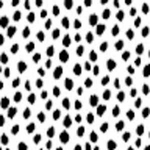 Meet your Posher, Jacky